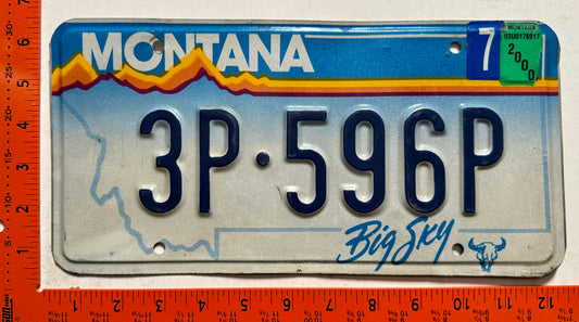 2000 Montana #3P-596P Passenger License Plate