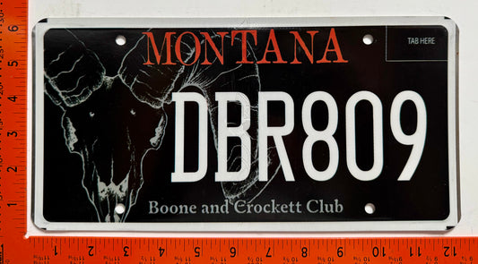 undated Montana #DBR809 Boone & Crockett Club License Plate