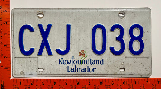 undated Newfoundland #CXJ 038 Commercial License Plate