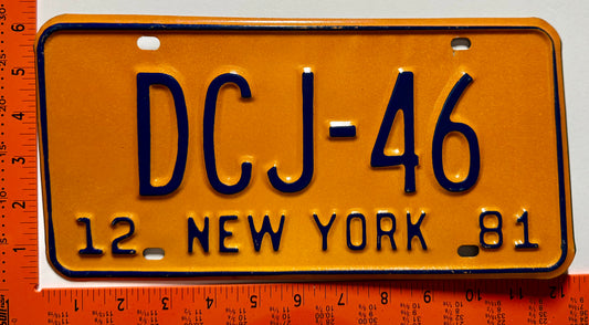 1981 New York #JSC-230 District Court Judge License Plate