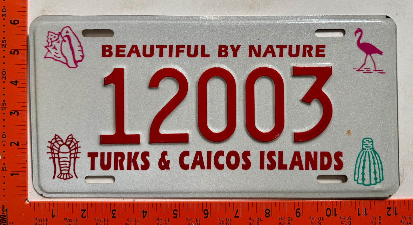 2005 base Turks & Caicos #12003 Passenger License Plate