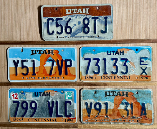 Group of 5 Utah Passenger/Exempt License Plates (Crafter)