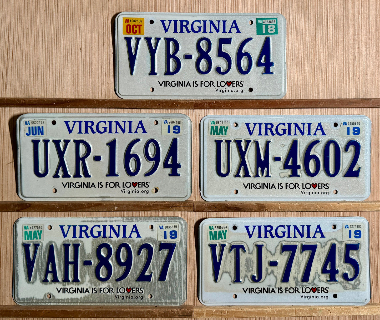 5-pack of 2018/2019 Virginia Passenger License Plates (Craft)