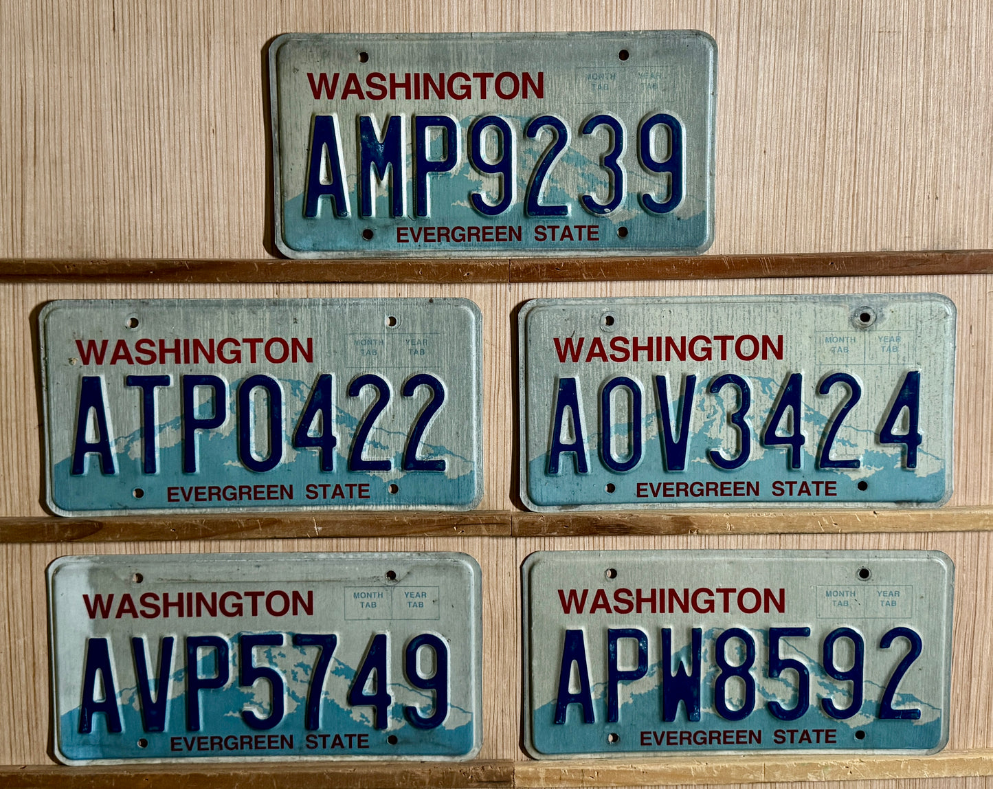 Group of 5 Washington Passenger License Plates (Crafter)