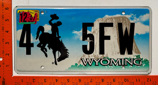 2007 Wyoming #4 5FW Passenger License Plate