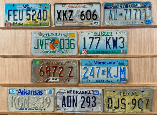 Group of 10 Mixed States License Plates (Crafter)