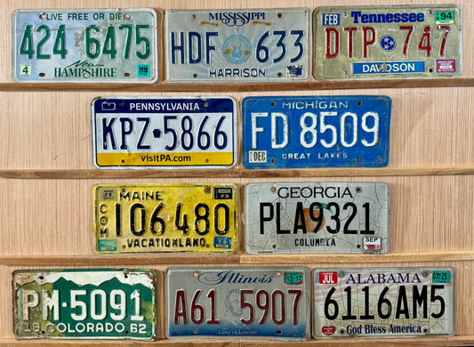Group of 10 Mixed States License Plates (Crafter)